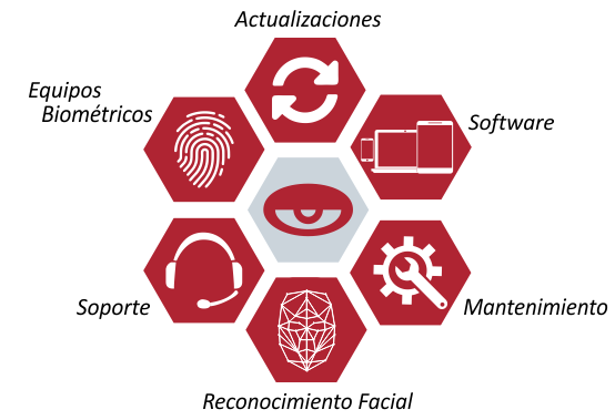 Servicios OLIN